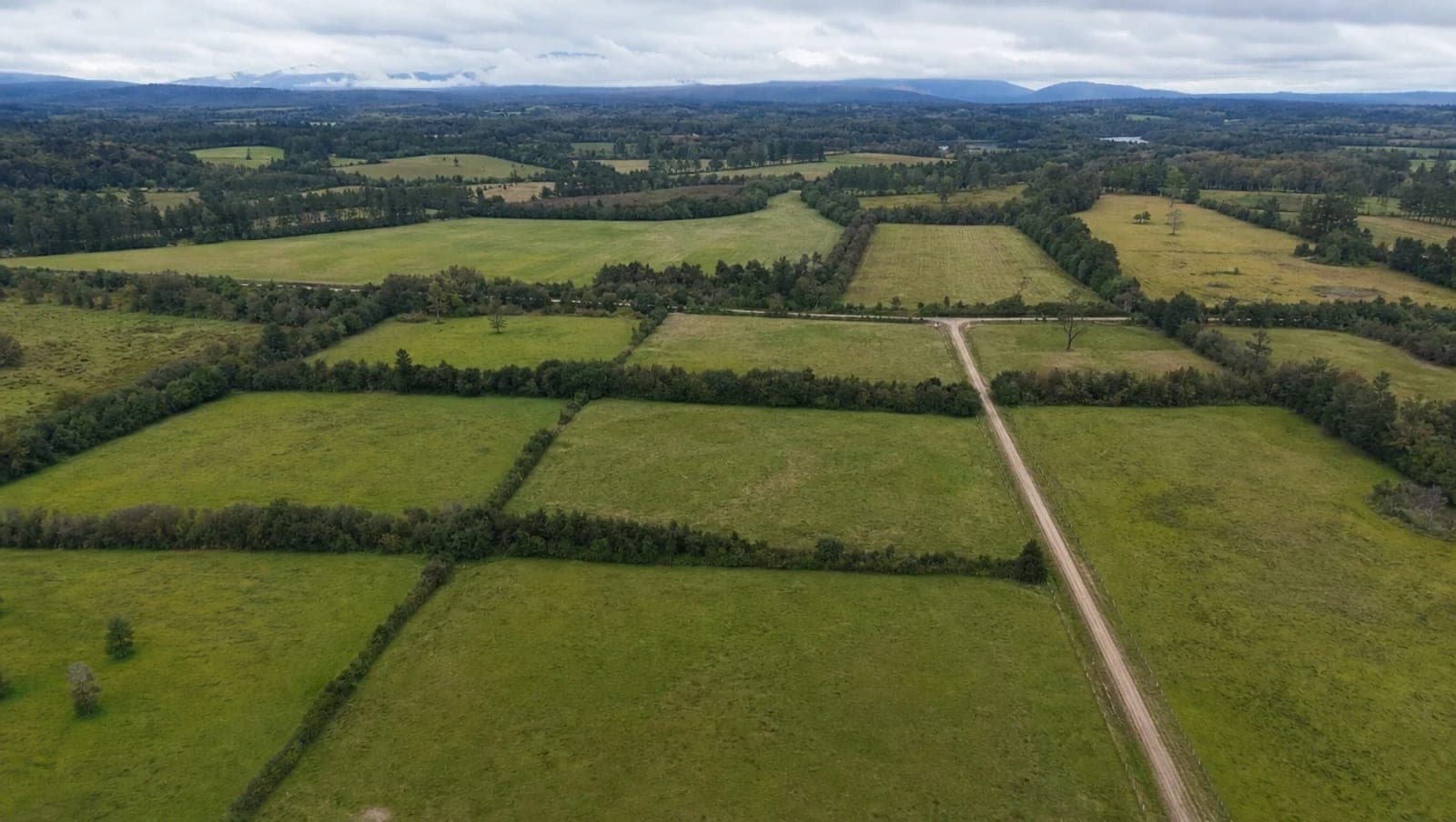 Vista aérea de un loteo rural en el sur de Chile, con parcelas delimitadas por cercos y cortinas de árboles