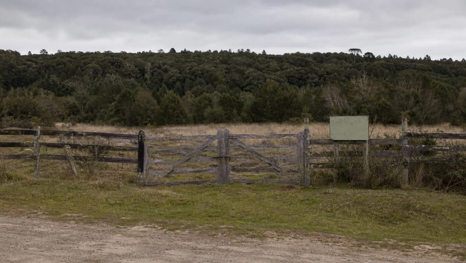 Empty rural site with a timber fence, closed gate and a faded for-sale sign, native forest behind