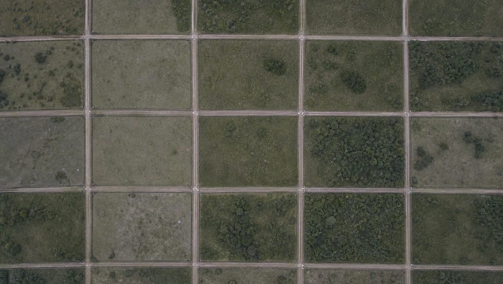 Overhead aerial view of a field subdivided into equal lots, separated by dirt roads forming a grid