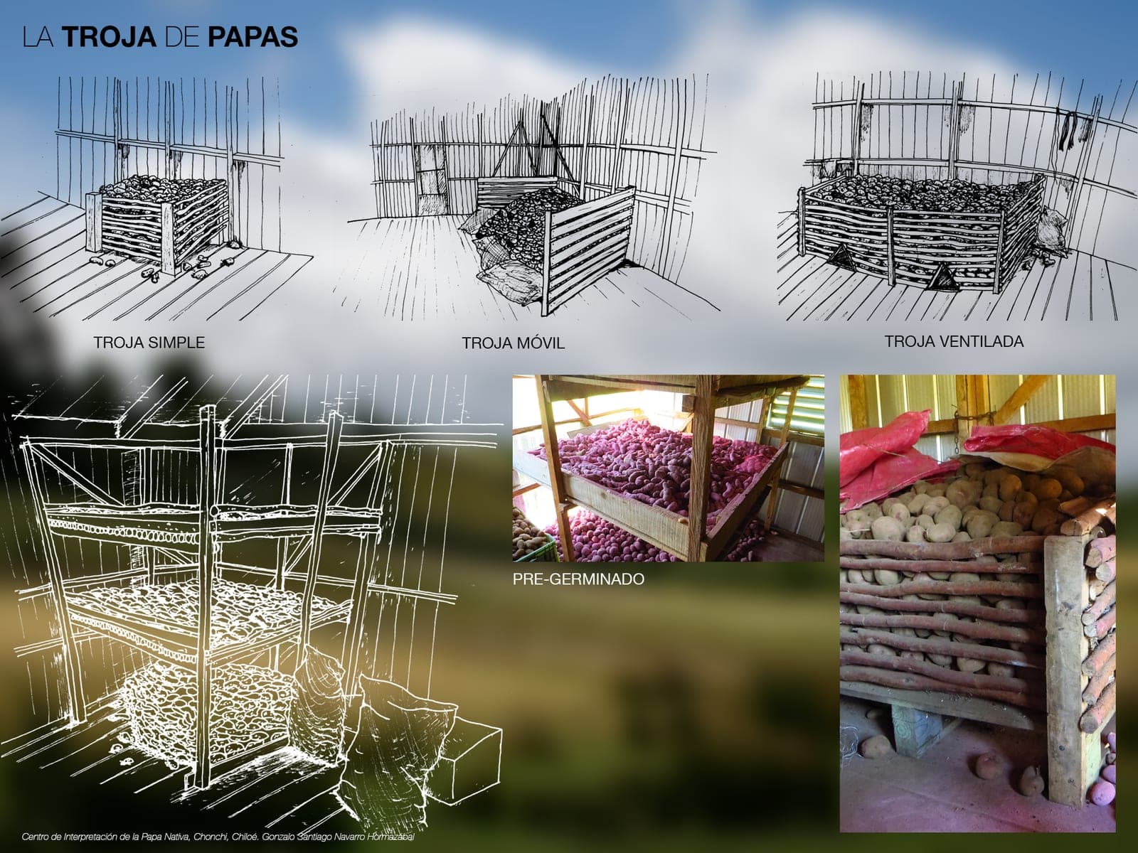 Esquemas de tres tipos de troja —simple, móvil y ventilada— junto a fotografías de papas almacenadas y del semillero en terrazas