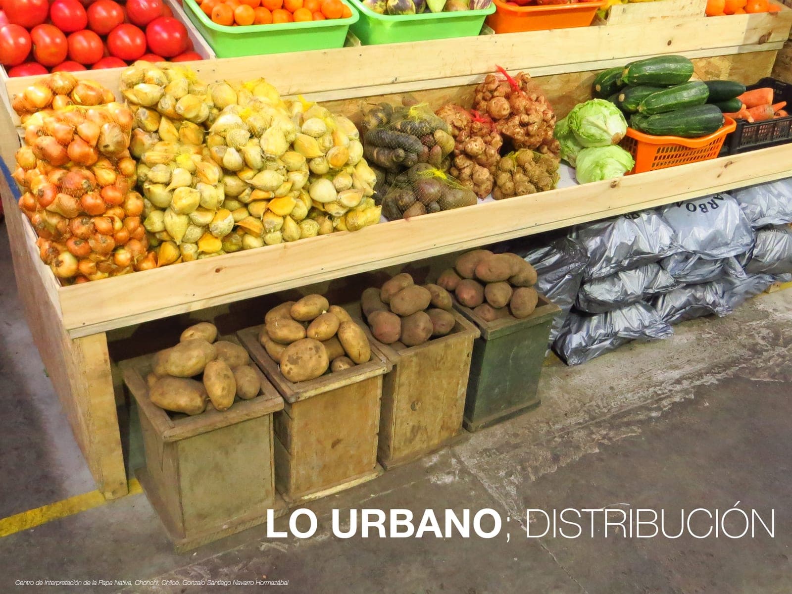 Puesto de verduras con papas en primer plano, bajo el título «lo urbano: distribución»