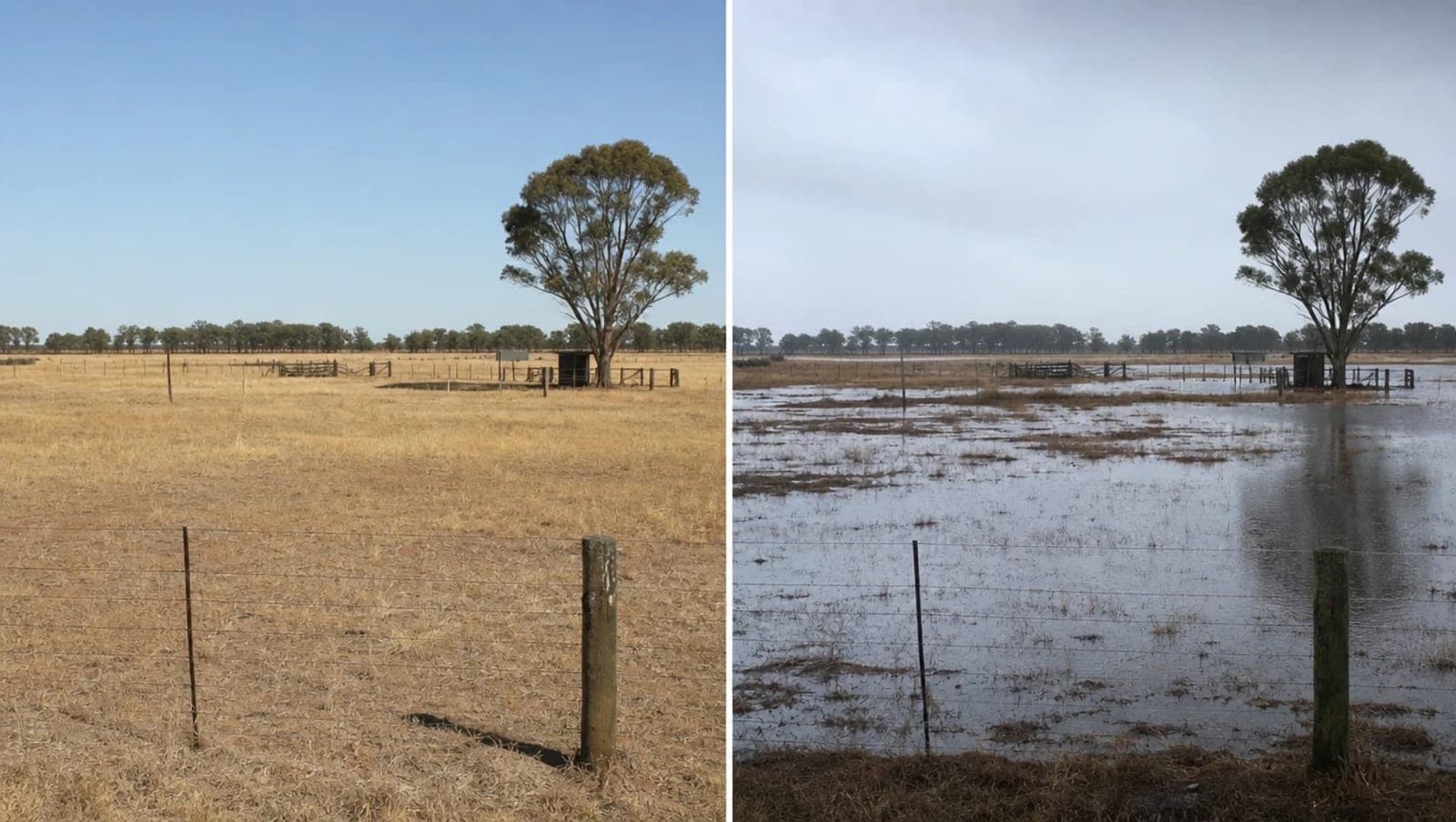 El mismo potrero fotografiado dos veces: a la izquierda en verano con pasto seco y a la derecha en invierno, completamente anegado